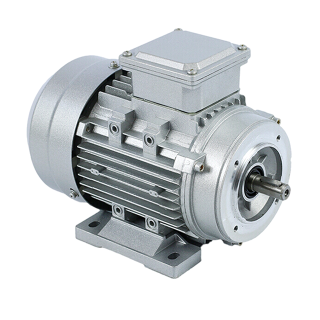 MAKODA Flame proof Motor